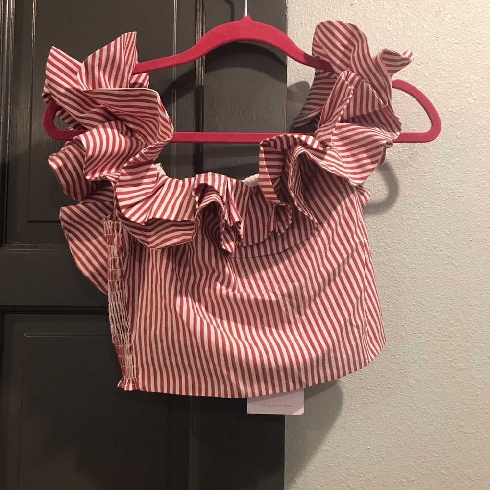 WAYF Red Striped Crop Top